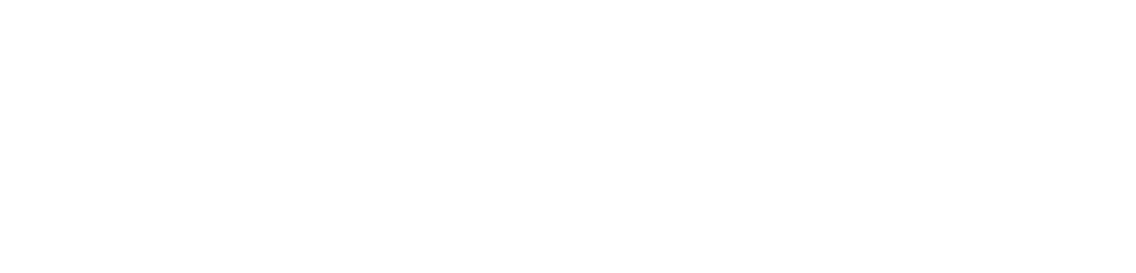 Dunedin Movers